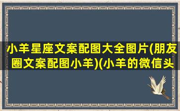 小羊星座文案配图大全图片(朋友圈文案配图小羊)(小羊的微信头像)