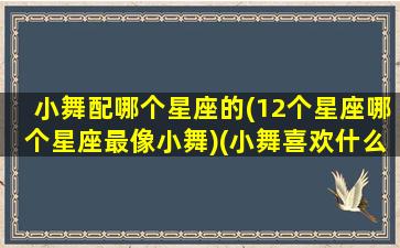 小舞配哪个星座的(12个星座哪个星座最像小舞)(小舞喜欢什么星座)