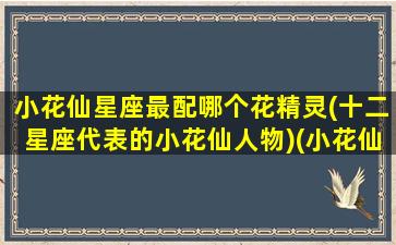 小花仙星座最配哪个花精灵(十二星座代表的小花仙人物)(小花仙都是什么星座)