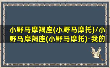 小野马摩羯座(小野马摩托)/小野马摩羯座(小野马摩托)-我的网站(小野马机车)