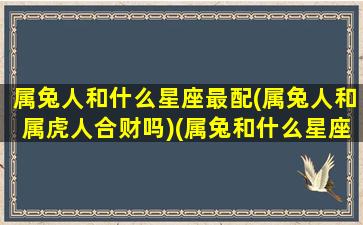 属兔人和什么星座最配(属兔人和属虎人合财吗)(属兔和什么星座最配对)