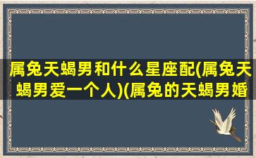 属兔天蝎男和什么星座配(属兔天蝎男爱一个人)(属兔的天蝎男婚姻家庭)