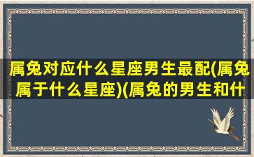 属兔对应什么星座男生最配(属兔属于什么星座)(属兔的男生和什么属相配对)