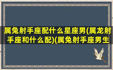 属兔射手座配什么星座男(属龙射手座和什么配)(属兔射手座男生的深度分析)