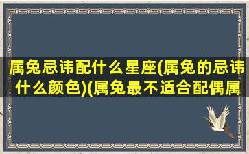 属兔忌讳配什么星座(属兔的忌讳什么颜色)(属兔最不适合配偶属相)