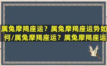 属兔摩羯座运？属兔摩羯座运势如何/属兔摩羯座运？属兔摩羯座运势如何-我的网站