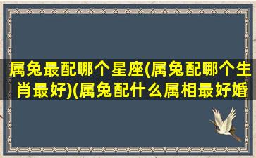 属兔最配哪个星座(属兔配哪个生肖最好)(属兔配什么属相最好婚姻)