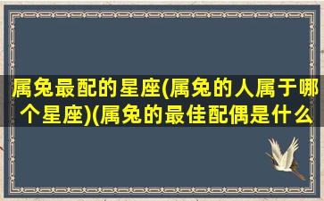 属兔最配的星座(属兔的人属于哪个星座)(属兔的最佳配偶是什么属相)