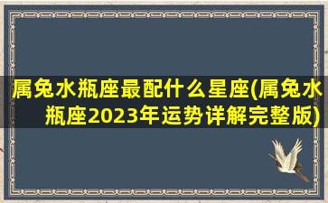 属兔水瓶座最配什么星座(属兔水瓶座2023年运势详解完整版)(属兔水瓶座女生运势)