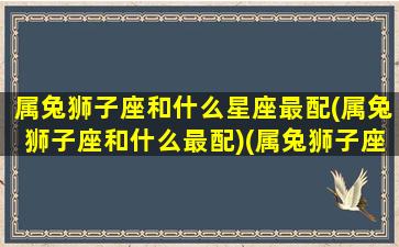 属兔狮子座和什么星座最配(属兔狮子座和什么最配)(属兔狮子座性格特点)