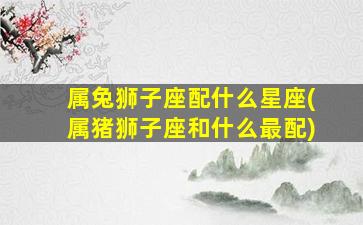 属兔狮子座配什么星座(属猪狮子座和什么最配)