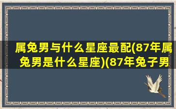 属兔男与什么星座最配(87年属兔男是什么星座)(87年兔子男和什么配)