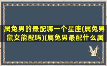 属兔男的最配哪一个星座(属兔男鼠女能配吗)(属兔男最配什么属相最好)