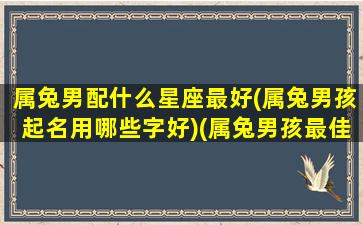 属兔男配什么星座最好(属兔男孩起名用哪些字好)(属兔男孩最佳配偶)