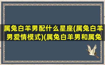 属兔白羊男配什么星座(属兔白羊男爱情模式)(属兔白羊男和属兔白羊女)