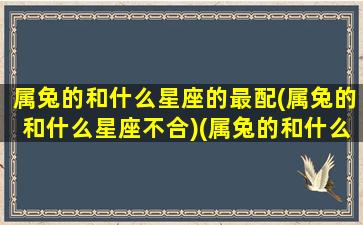 属兔的和什么星座的最配(属兔的和什么星座不合)(属兔的和什么属兔的在一起合适吗)