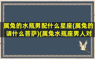 属兔的水瓶男配什么星座(属兔的请什么菩萨)(属兔水瓶座男人对待感情)