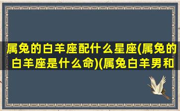 属兔的白羊座配什么星座(属兔的白羊座是什么命)(属兔白羊男和哪个星座属相最配)