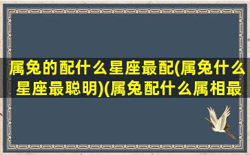 属兔的配什么星座最配(属兔什么星座最聪明)(属兔配什么属相最好婚姻)