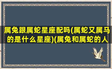 属兔跟属蛇星座配吗(属蛇又属马的是什么星座)(属兔和属蛇的人在一起相配吗)