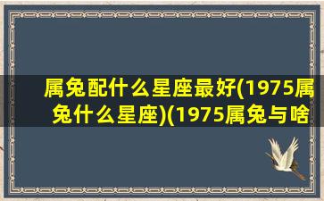 属兔配什么星座最好(1975属兔什么星座)(1975属兔与啥属相合作)