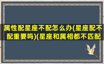 属性配星座不配怎么办(星座配不配重要吗)(星座和属相都不匹配的两个人能在一起吗)