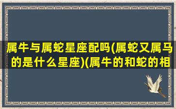 属牛与属蛇星座配吗(属蛇又属马的是什么星座)(属牛的和蛇的相配吗)