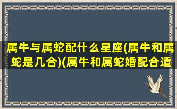 属牛与属蛇配什么星座(属牛和属蛇是几合)(属牛和属蛇婚配合适吗)