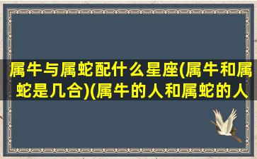 属牛与属蛇配什么星座(属牛和属蛇是几合)(属牛的人和属蛇的人配吗)