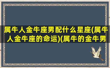 属牛人金牛座男配什么星座(属牛人金牛座的命运)(属牛的金牛男性方面)