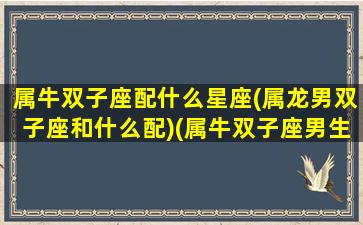 属牛双子座配什么星座(属龙男双子座和什么配)(属牛双子座男生的爱情)