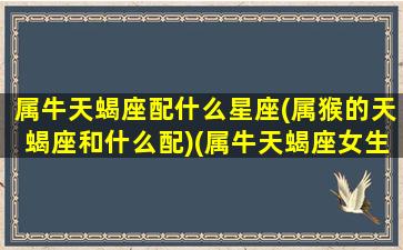 属牛天蝎座配什么星座(属猴的天蝎座和什么配)(属牛天蝎座女生的性格)