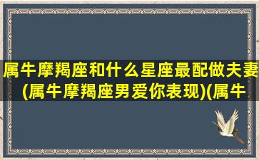 属牛摩羯座和什么星座最配做夫妻(属牛摩羯座男爱你表现)(属牛摩羯男爱情配对)