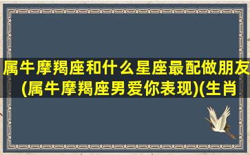 属牛摩羯座和什么星座最配做朋友(属牛摩羯座男爱你表现)(生肖牛的摩羯座)