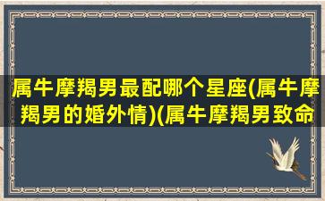 属牛摩羯男最配哪个星座(属牛摩羯男的婚外情)(属牛摩羯男致命弱点)