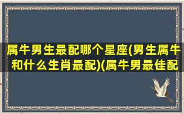 属牛男生最配哪个星座(男生属牛和什么生肖最配)(属牛男最佳配偶属什么)