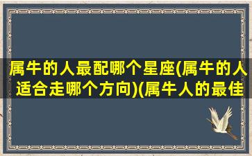 属牛的人最配哪个星座(属牛的人适合走哪个方向)(属牛人的最佳配)