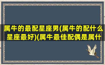 属牛的最配星座男(属牛的配什么星座最好)(属牛最佳配偶是属什么)