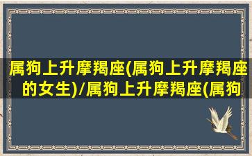 属狗上升摩羯座(属狗上升摩羯座的女生)/属狗上升摩羯座(属狗上升摩羯座的女生)-我的网站