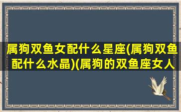 属狗双鱼女配什么星座(属狗双鱼配什么水晶)(属狗的双鱼座女人聪明吗)