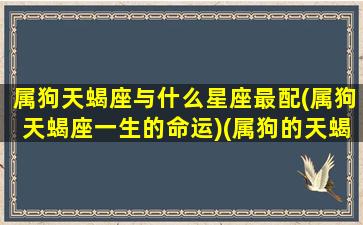 属狗天蝎座与什么星座最配(属狗天蝎座一生的命运)(属狗的天蝎适合合作嘛)