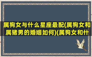 属狗女与什么星座最配(属狗女和属猪男的婚姻如何)(属狗女和什么属相合作财运最佳)