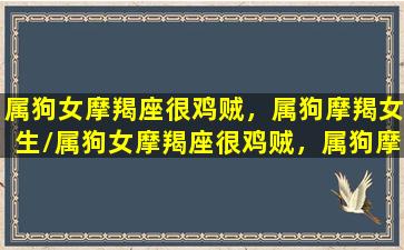 属狗女摩羯座很鸡贼，属狗摩羯女生/属狗女摩羯座很鸡贼，属狗摩羯女生-我的网站