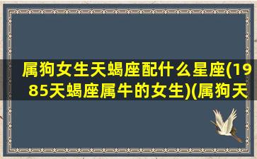 属狗女生天蝎座配什么星座(1985天蝎座属牛的女生)(属狗天蝎座女生爱情)