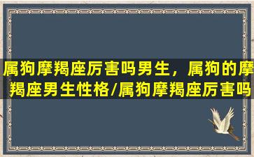 属狗摩羯座厉害吗男生，属狗的摩羯座男生性格/属狗摩羯座厉害吗男生，属狗的摩羯座男生性格-我的网站