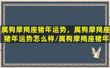 属狗摩羯座猪年运势，属狗摩羯座猪年运势怎么样/属狗摩羯座猪年运势，属狗摩羯座猪年运势怎么样-我的网站