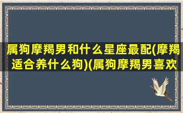 属狗摩羯男和什么星座最配(摩羯适合养什么狗)(属狗摩羯男喜欢什么女人)