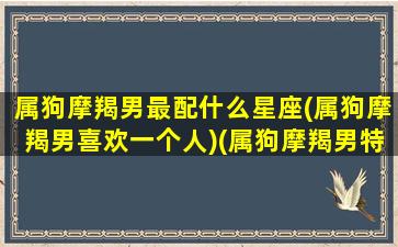 属狗摩羯男最配什么星座(属狗摩羯男喜欢一个人)(属狗摩羯男特变态)