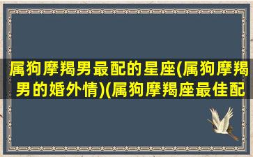 属狗摩羯男最配的星座(属狗摩羯男的婚外情)(属狗摩羯座最佳配对)