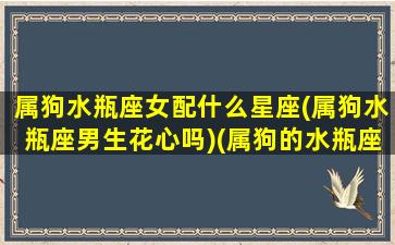 属狗水瓶座女配什么星座(属狗水瓶座男生花心吗)(属狗的水瓶座女星)